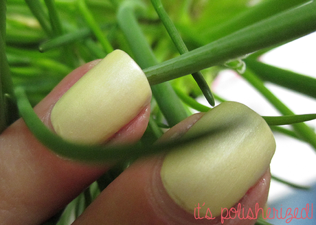 AN ALLE... AN ALLE...