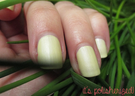 AN ALLE... AN ALLE...