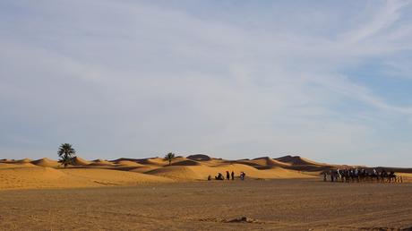 Die Wüstenkarawane – Auf Dromedarrücken durch Erg chebbi