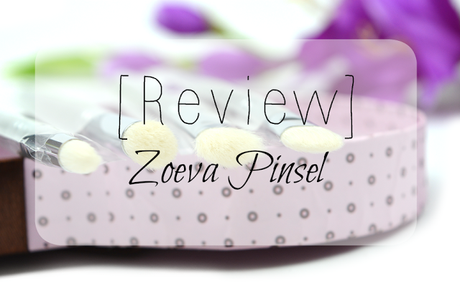 Review: Zoeva Pinsel
