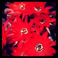 My Week In Instagram #4