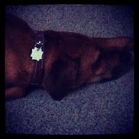 My Week In Instagram #4