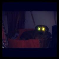 My Week In Instagram #4