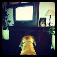 My Week In Instagram # 3