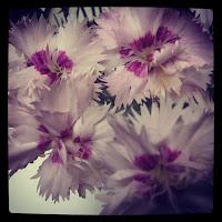 My Week In Instagram # 3