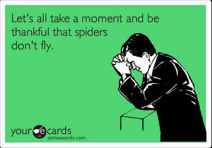 Spiders Don't Fly