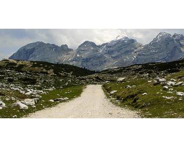 Wahlmöglichkeit: Jeder sollte in jedem Augenblick seines Lebens wählen können, was er tun möchte