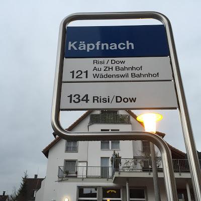 In Käpfnach wohnt ein sehr Berühmter