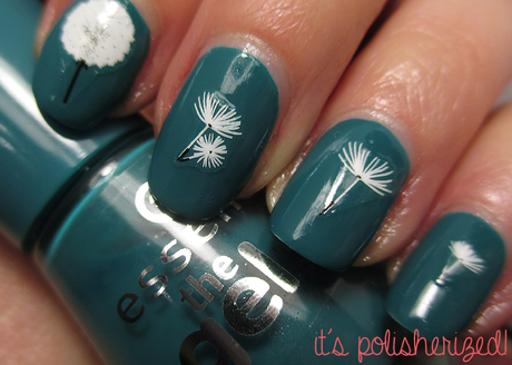 Von Insel zur Insel in den...