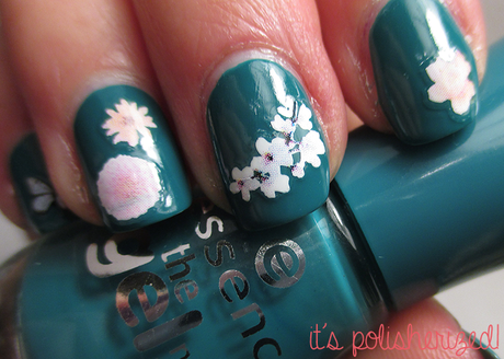 Von Insel zur Insel in den...