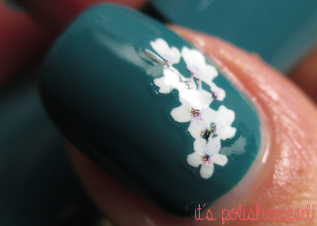 Von Insel zur Insel in den...