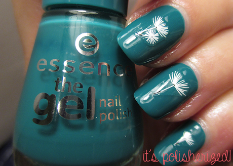 Von Insel zur Insel in den...