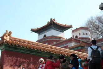 Was war los im Januar + Februar 2016