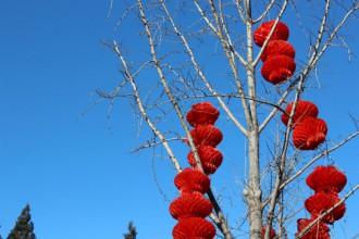 Was war los im Januar + Februar 2016