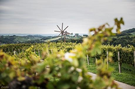 Traditionell(e) kulinarische Hot Spots in Österreich