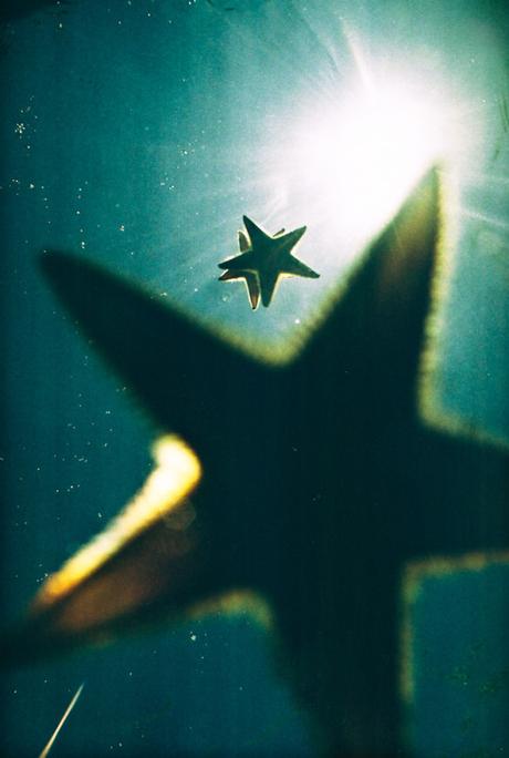 Noch immer: dualseelen.org