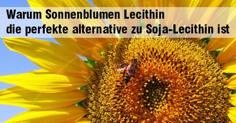 Wirkung von Lecithin im Körper