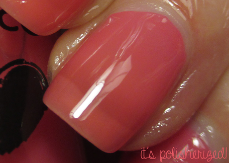 Jelly Belly.. Jelly Belly..