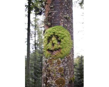 [Fotochallenge] Gesicht