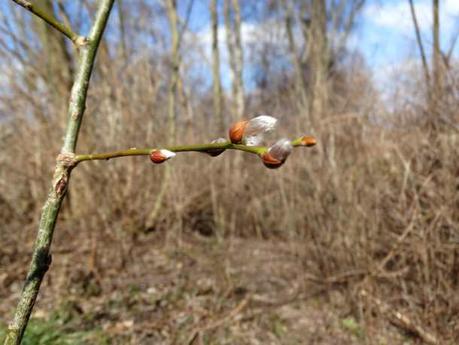 2016.03.16_DetoxTag-Spielplatz 024