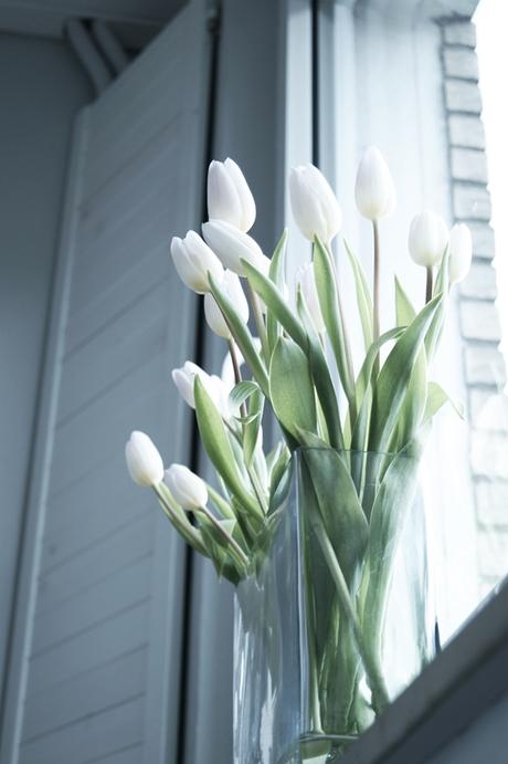 Blog + Fotografie by it's me fim.works - weiß eTulpen mit lilafarbenen Spitzen, Fenster, Fensterladen