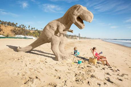 David-Zaitz-photography-3