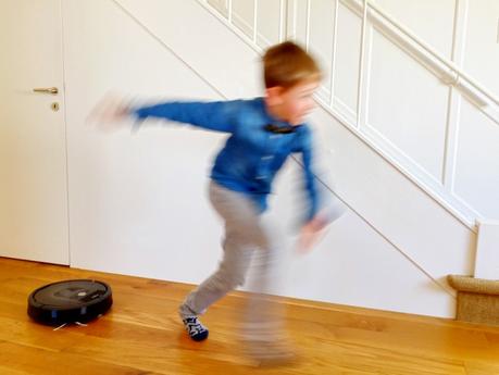 Roomba: Ist die Katze im Haus, tanzen die Mäuse