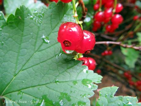 Beeren