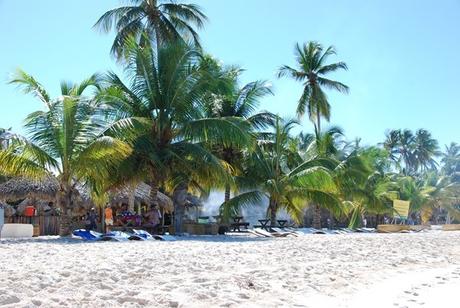 08_Grillplatz-am-Strand-Isla-Soana-Dominikanische-Republik-Karibik