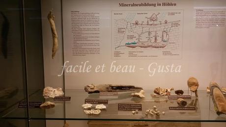 Naturhistorisches Museum Teil 3