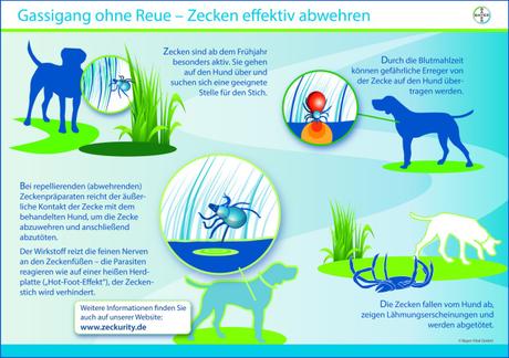 Infografik: Bayer Vital GmbH, Leverkusen