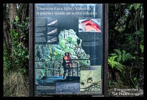 EISWUERFELIMSCHUH - Hawaii Big Island Vulkan Lava Tube National Park (13)