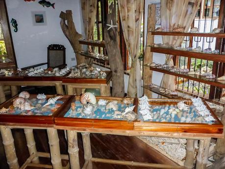 Siquijor Sea Shell Museum