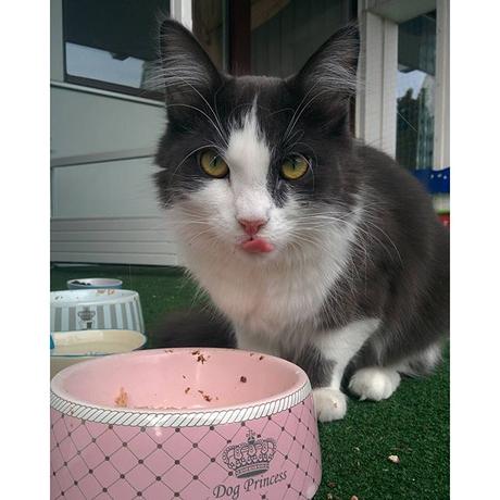 Picture my day Day 20 #pmdd20