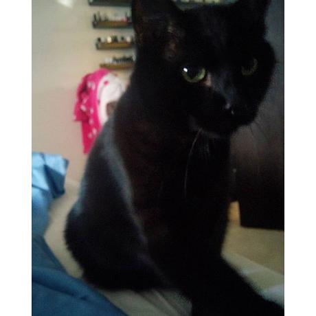 Picture my day Day 20 #pmdd20