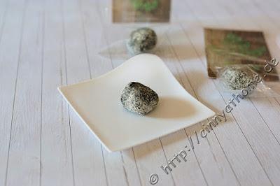 Mit Sanleaf lernten wir Moringa kennen