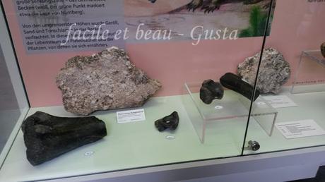 Naturhistorisches Mueum Teil 4