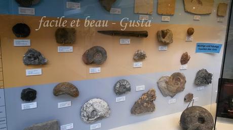 Naturhistorisches Mueum Teil 4