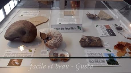 Naturhistorisches Mueum Teil 4