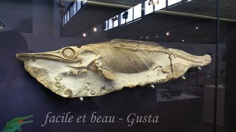 Naturhistorisches Mueum Teil 4