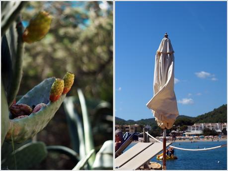 Blog + Fotografie by it's me fim.works - Collage La Isla Blanca Ibiza, Cala Llonga, Kaktus mit Blüten