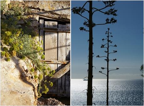 Blog + Fotografie by it's me fim.works - Collage La Isla Blanca Ibiza, Cala Llonga, Bäume vor dem Meer