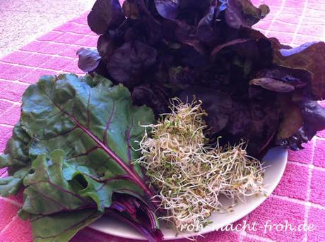 Salat, Rote Bete Blätter, Sprossen
