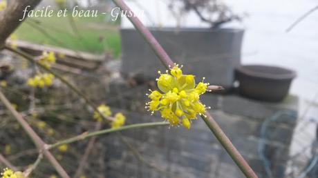 Erster warmer Frühlingstag Erster warmer Frühlingstag