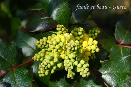 Erster warmer Frühlingstag Erster warmer Frühlingstag