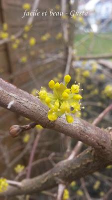 Erster warmer Frühlingstag Erster warmer Frühlingstag