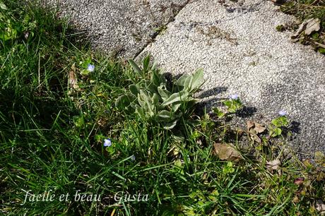 Erster warmer Frühlingstag Erster warmer Frühlingstag