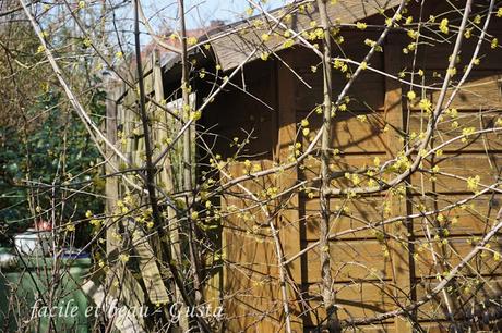 Erster warmer Frühlingstag Erster warmer Frühlingstag