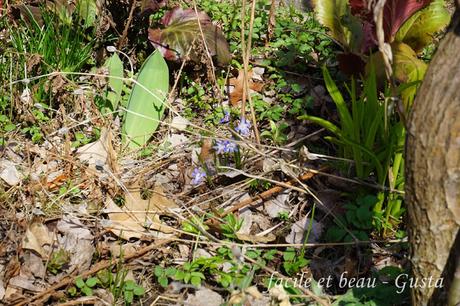 Erster warmer Frühlingstag Erster warmer Frühlingstag