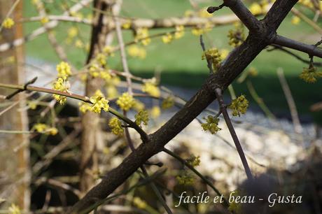 Erster warmer Frühlingstag Erster warmer Frühlingstag